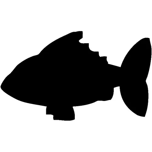Crna ploča za kredu - Riba