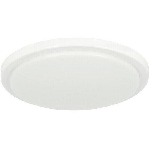 Ritter Leuchten Okrugla stropna LED svjetiljka (Senzor pokreta, 24 W, Ø x V: 288 x 65,5 mm, Bijele boje, Neutralno bijelo) Cijene