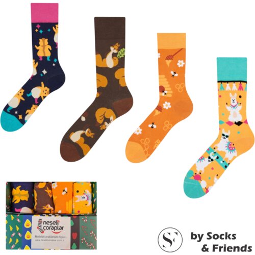 Socks & Friends Set Čarapa 4/1 Orange party Cene