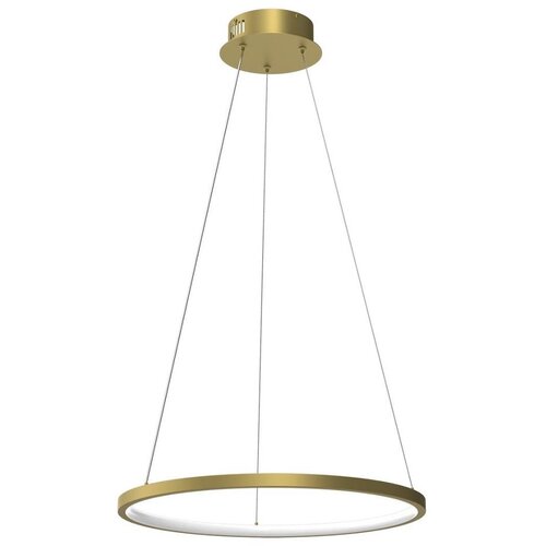  LED luster na sajli HOOP LED/27W/230V, prečnik 50 cm, 4000K, zlatan Cene