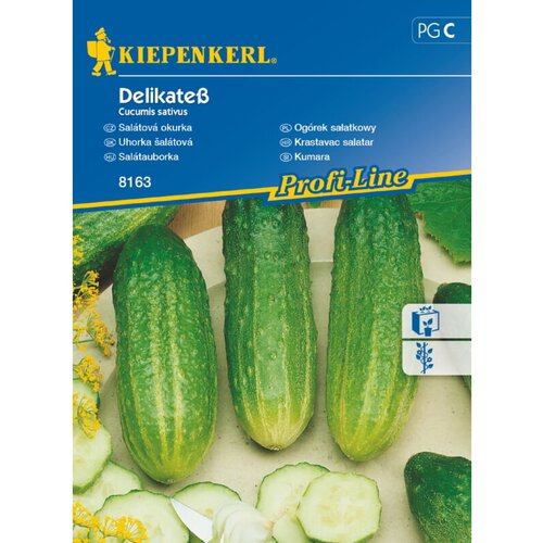 KIEPENKERL Kumara Delikate&amp;szlig; Kiepenkerl (Cucumis sativus) Slike