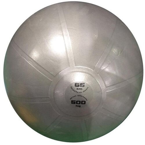 Toorx Gimnastična žoga PRO AHF-148, 65 cm, siva Cene