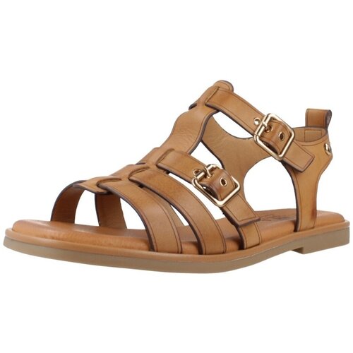 Carmela 161398c Smeđa Slike