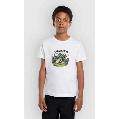 Dickies Camp Graphic T-shirt white Cene