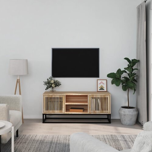 VidaXL TV omarica 105x30x45 cm inženirski les in železo Slike