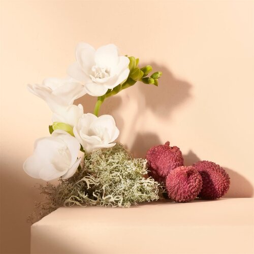 Chlo&amp;eacute; nomade toaletna voda 50 ml za žene Slike