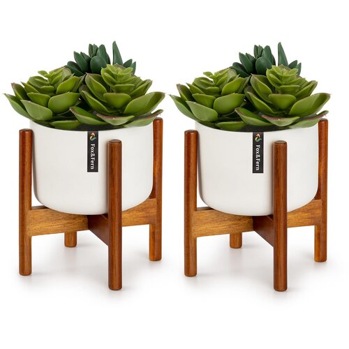 Fox & Fern thorn, posuda za cvijeće sa stalkom, 2-dijelni set, stil 1950-ih Cijene