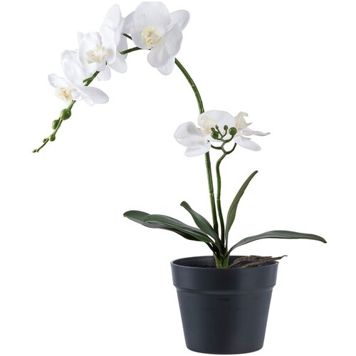 House Nordic Umetna rastlina (višina 47 cm) Orchid – Cene