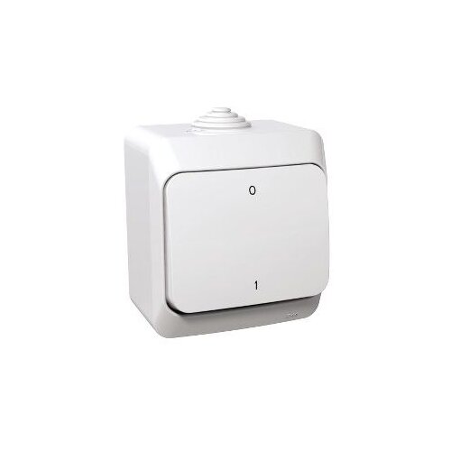 Prekidač 2P IP44 bijela CEDAR Slike