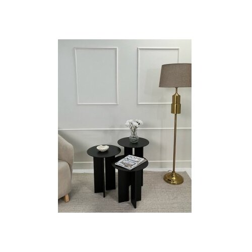 Hanah home set za kafu leo (55 + 50 + 45) black (313RTX1143) Slike