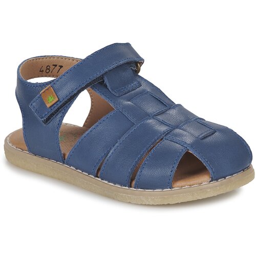 El Naturalista Africa Blue Slike