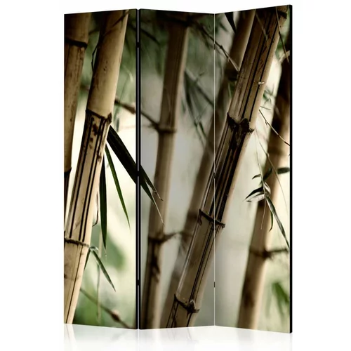  Paravan u 3 dijela - Fog and bamboo forest [Room Dividers] 135x172