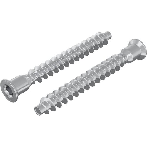 vidaXL Potrdilni vijaki 2 pcs srebrna &Oslash;7 x 58 mm Kovina, (5000163805) Cene