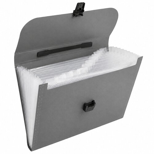  Folder Folder Organizer for Documents, 13 Compartments, Gray, A4, Holder Slike