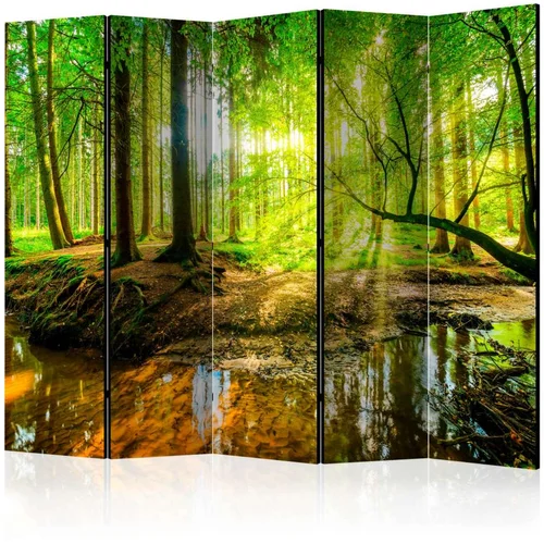  Paravan u 5 dijelova - Forest Stream II [Room Dividers] 225x172