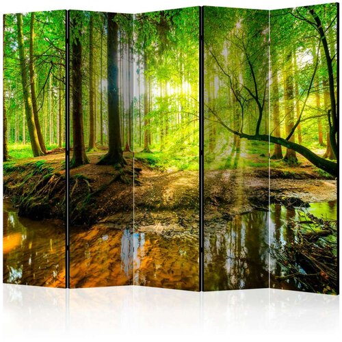 Paravan u 5 dijelova - Forest Stream II [Room Dividers] 225x172 Slike