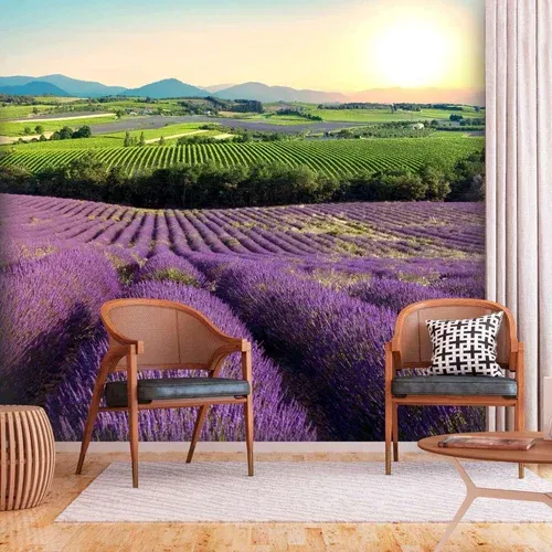  Samoljepljiva foto tapeta - Lavender Field 98x70