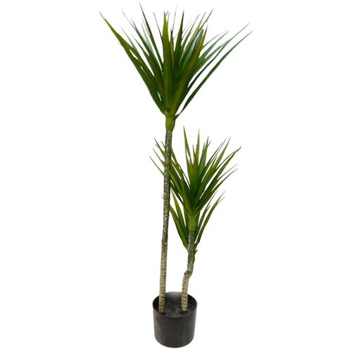 Lilium stablo dracena 1x3 110cm 599437 Cene
