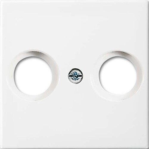 Busch-Jaeger centralni disk alpinws 2531-914, (20892308) Slike