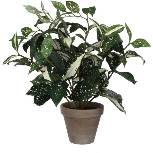 MICA umjetna biljka cordyline u tegli (visina: 35 cm, zelene boje, plastika) Cijene