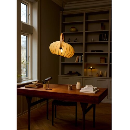 Halo Design 746361 - Visilica na sajli DC, 1xE27/40W/230V, prečnik 40 cm, zelena/hrast Slike