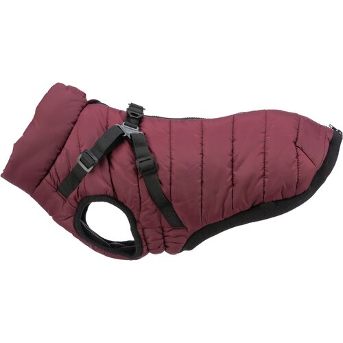 Trixie plašček za pse zimski Pirou z oprsnico S bordo, 36 cm Cene