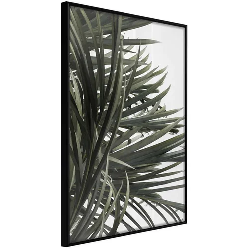  Poster - Little Tropics 20x30