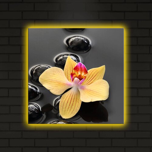 Wallity Slika sa LED osvetljenjem 4040DACT-5, 40x40 cm Cene