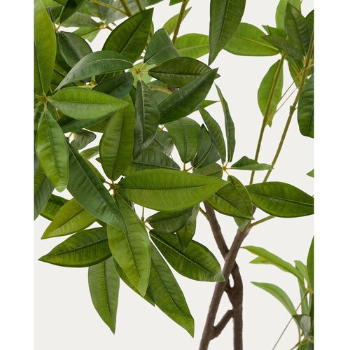 Kave Home Umjetna biljka (visina 180 cm) Pachira &amp;ndash; Slike