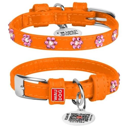 CLR WD 36 cm -Ogrlica za pse Glamour 15 mm/27 Cene