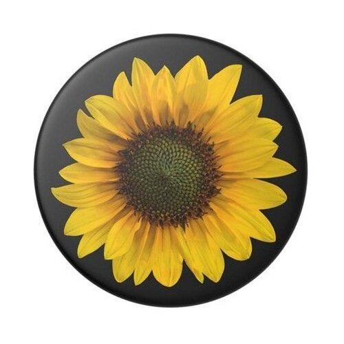 KS popsockets držalo / stojalo popgrip seed money Slike