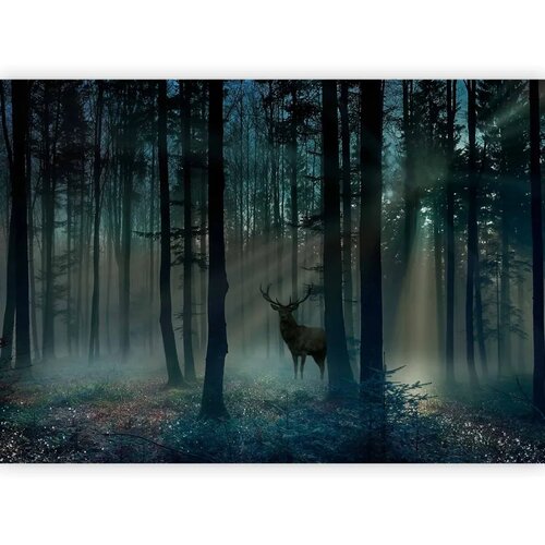  Foto tapeta - Mystical Forest - Third Variant 250x175 Vodootporna Slike