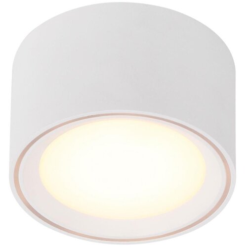 Nordlux LED prigu&scaron;iva spot svetiljka FALLON LED/5,5W/230V bela Cene