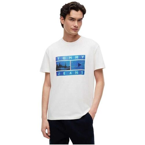 Tommy Hilfiger mu&scaron;ka majica sa printom Cene
