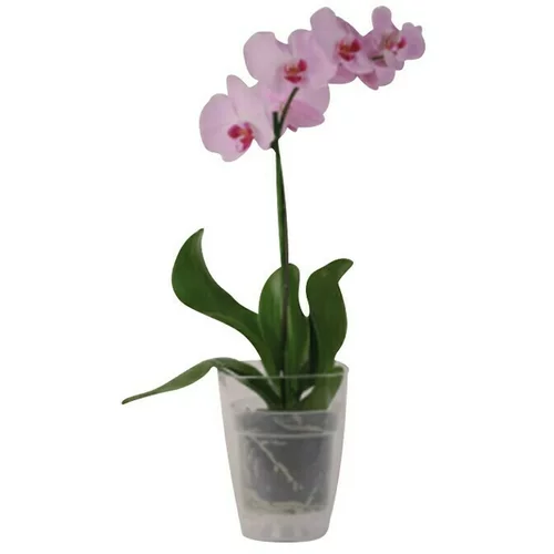  Tegla za orhideju (Plastika, Bijele boje)