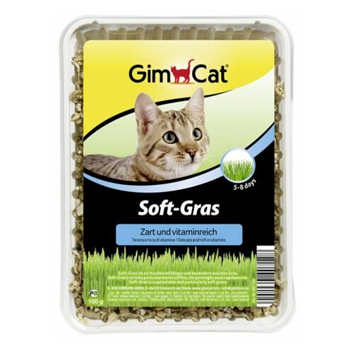Gimborn Soft-Grass - nežna trava za mačke 100gr Slike