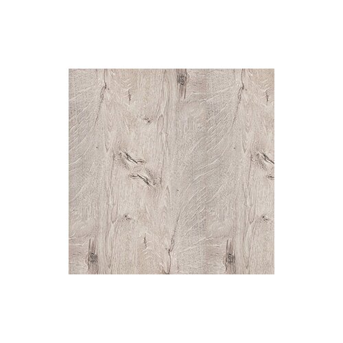  laminat winter 832 rustic silver 505814003 Cene