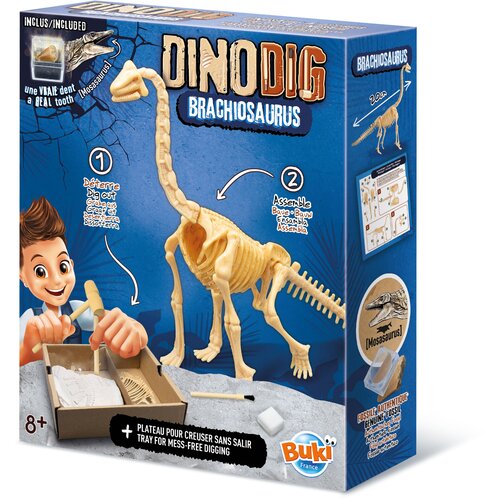 Dino iskopaj skelet - buki 105930 Slike