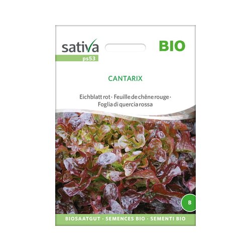 Sativa Bio listnata solata rdeča "Cantarix" Cene