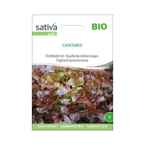 Sativa Bio listnata solata rdeča "Cantarix"