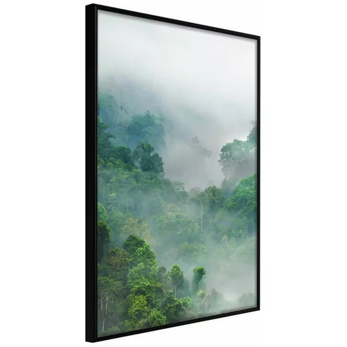  Poster - Green Lungs of the Earth I 40x60