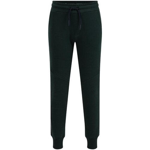 WE Fashion Hlače temno zelena Slike