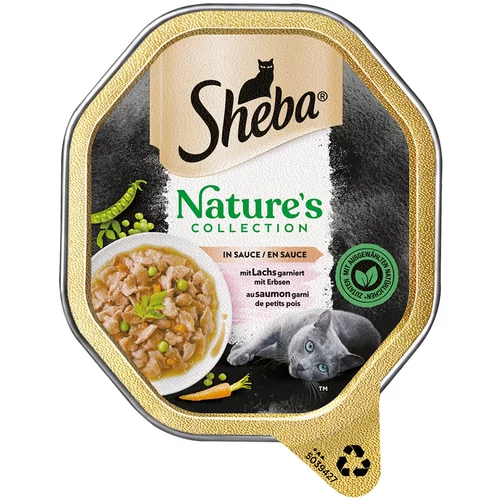 Sheba Nature´s Collection in Sauce 22 x 85 g - Z lososom