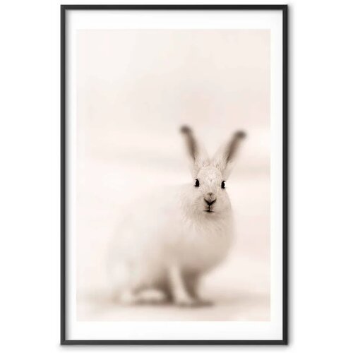  Plakat - Fearful Look 60x90 Crni okvir s margom Slike