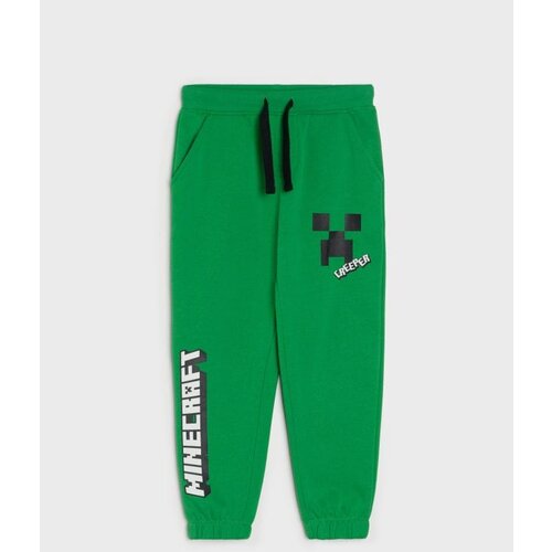 Sinsay Jogger donji dio trenirke Minecraft Cijene