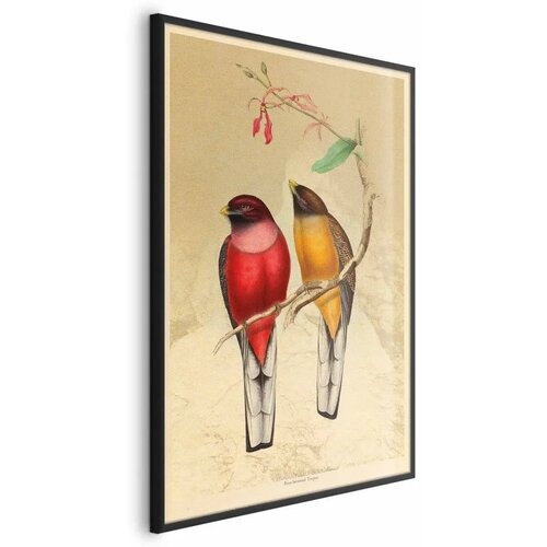  Plakat - Birds on a Branch 60x90 Crni okvir Cijene