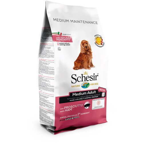 Schesir Dog Dry Medium/Large Maintenance sa šunkom - 12 kg Cijene