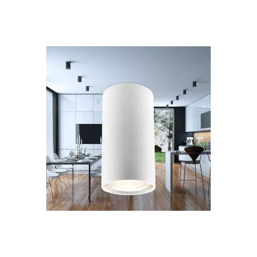 Braytron ROZETNA GAMA 5510 RND WHT GU10 BH04-00500 Cijene