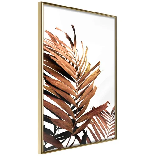  Poster - Copper Palm 40x60