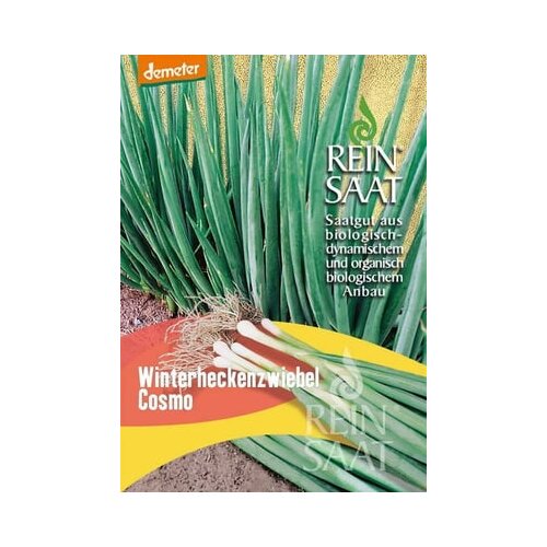ReinSaat Bio zimska čebula Cosmo Cene